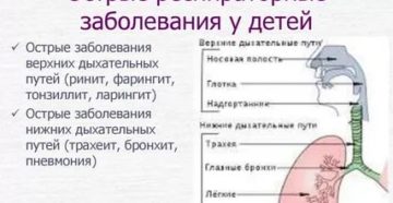 Инфекция верхних дыхательных путей лечение у детей