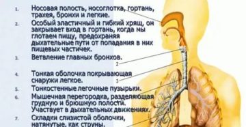 Может ли пища попасть в легкие