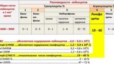 Лимфоциты абсолютное количество норма