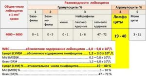 Лимфоциты абсолютное количество норма