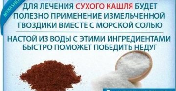 Гвоздика от кашля рецепт