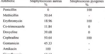 Золотистый стафилококк латинское название
