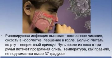 Как вызвать чих