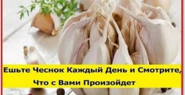 Сколько чеснока можно есть в день
