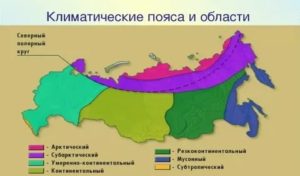 Лучший климат для астматиков в россии