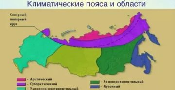 Лучший климат для астматиков в россии