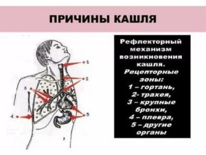 Рефлекторный кашель причины