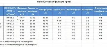 Норма сегментов в крови