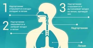 Причины частого чихания у взрослых
