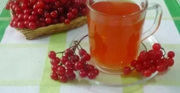 Лечебные рецепты из калины красной