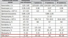 Норма лейкоцитов в крови у беременных женщин