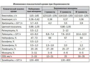 Норма лейкоцитов в крови у беременных женщин