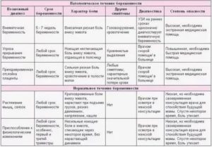 Когда чихаю болит низ живота при беременности