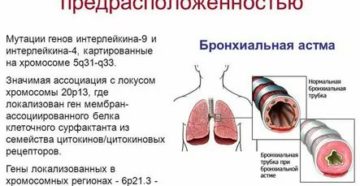 Бронхиальная астма передается ли по наследству