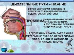 Пища попала в дыхательные пути что делать