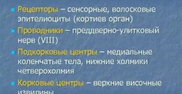 Рецепторы слухового анализатора это