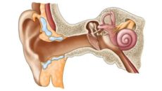 Болит ухо после удара