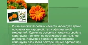 Календула детям с какого возраста