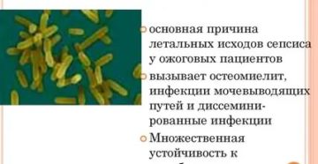 Синегнойная палочка у детей комаровский видео