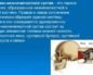 Щелкает в ухе при глотании слюны