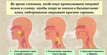 Постоянно давлюсь едой причины