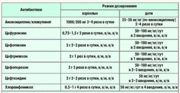 Можно ли хранить разведенный цефотаксим