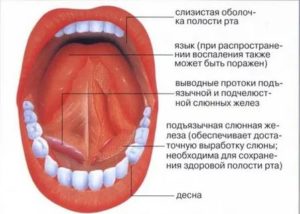 Болит под языком больно глотать