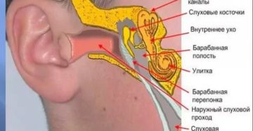 Упражнения для ушей при отите