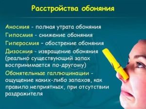 Обострилось обоняние причины