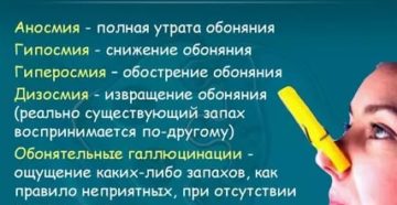 Обострилось обоняние причины