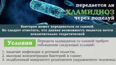 Как передаются венерологические заболевания через слюну