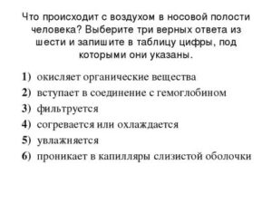 Что происходит с воздухом в носовой полости