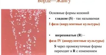 Борде жангу среда