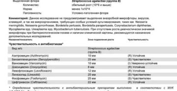 Стрептококк агалактия в мазке из цервикального канала