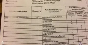 Золотистый стафилококк у беременных в мазке