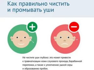 Сколько раз нужно чистить уши