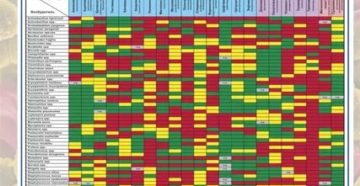 Таблица чувствительности микроорганизмов к антибиотикам