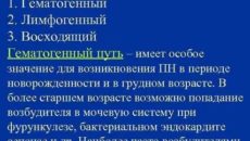 Гематогенный путь передачи инфекции