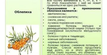 Облепиха полезные свойства и противопоказания для детей