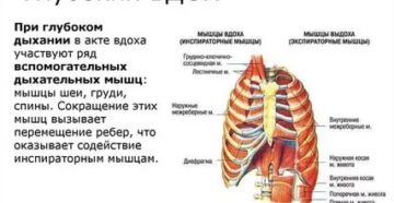 Тяжелешенько вздохнула как понять. Сложно сделать глубокий вдох. Почему трудно сделать глубокий вдох. Тяжело делать глубокий вдох почему. Почему не получается сделать глубокий вдох.