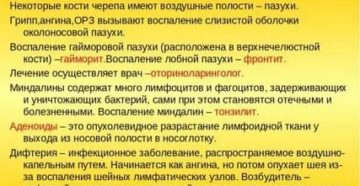 Хронические заболевания дыхательных путей