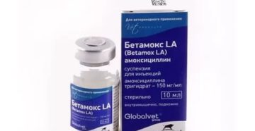 Амоксициллин уколы внутримышечно